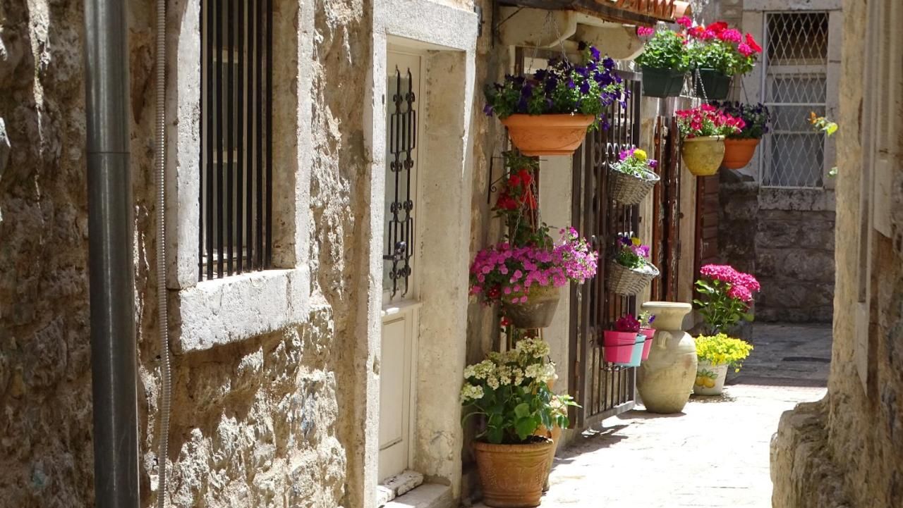 Апартаменты Apartments Renaissance Old town Будва